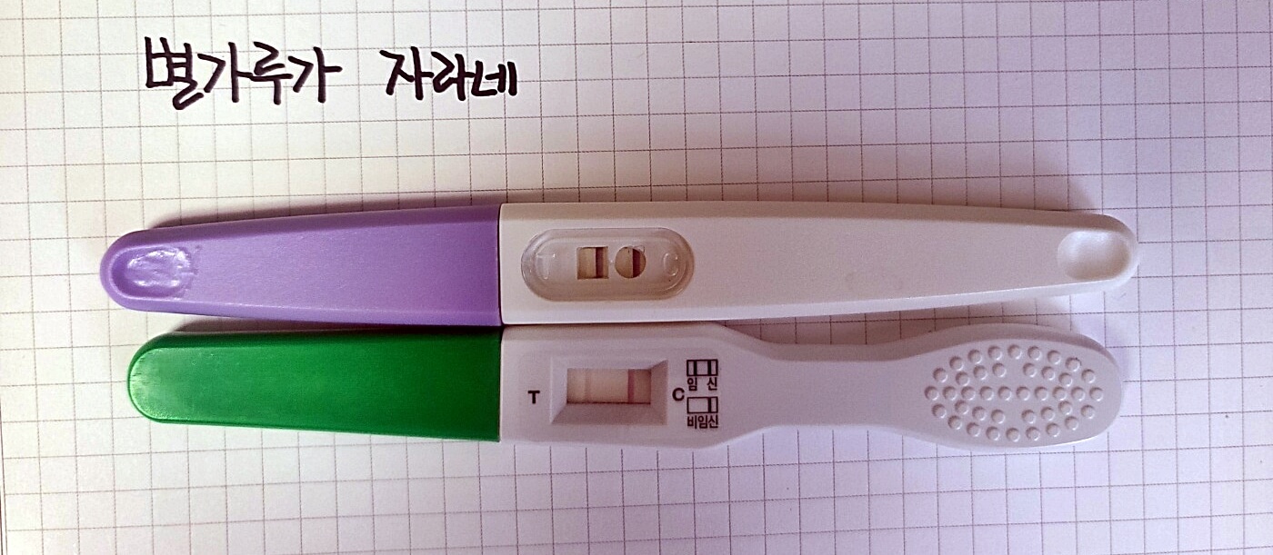 임신테스트기 양성 반응(2줄)